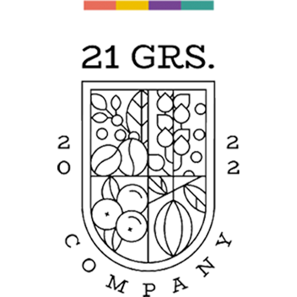 LOGO 21 G