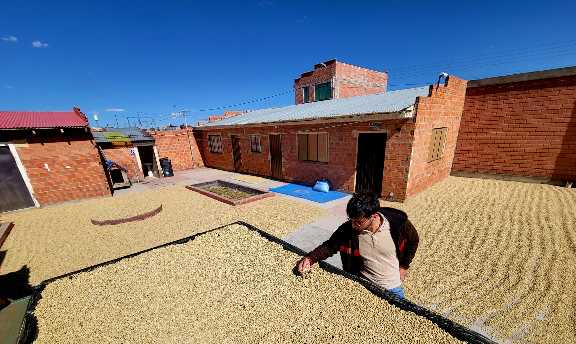 cafe microlot analysa